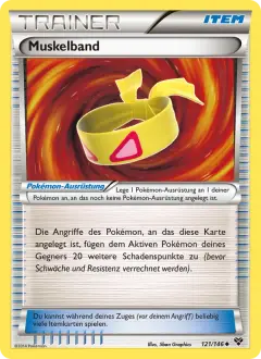 Muskelband 121/146 · XY