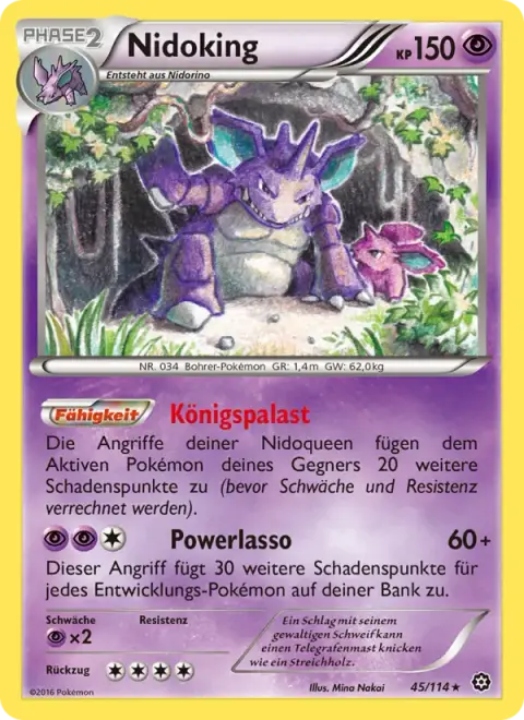 Nidoking 45/114 · Dampfkessel