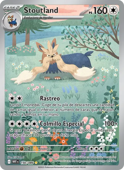 Stoutland 156/086 · Llama Blanca