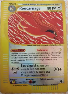 Roucarnage 23/165 · Expedition