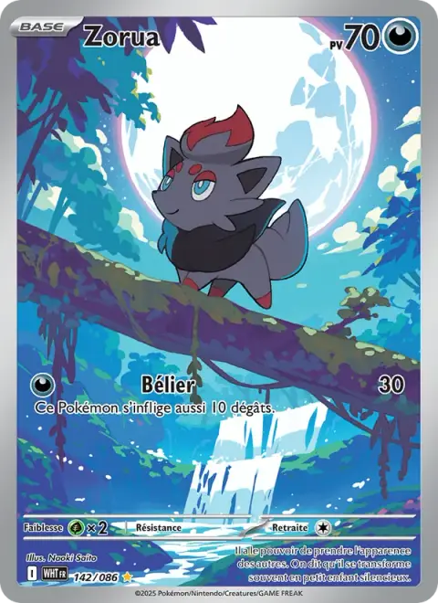 Zorua 142/086 · Flamme Blanche