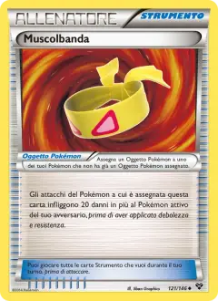 Muscolbanda 121/146 · XY