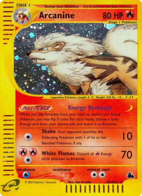 Arcanine H2 · Skyridge
