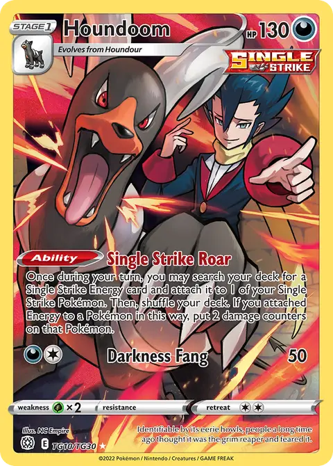 Houndoom TG10 · Brilliant Stars Trainer Gallery